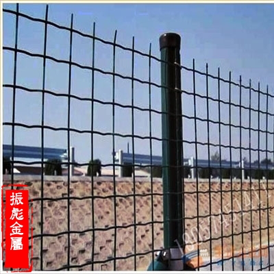 荷蘭網-3 荷蘭網-3