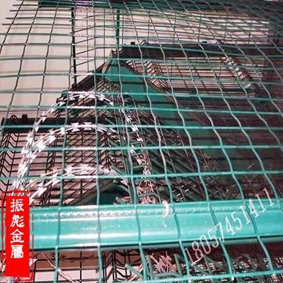 荷蘭網-5 荷蘭網-5